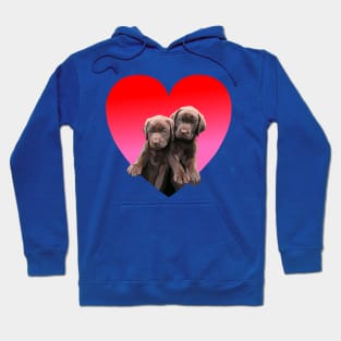 Chocolate Lab Pups Inside Heart Hoodie